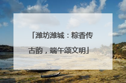 潍坊潍城：粽香传古韵，端午颂文明