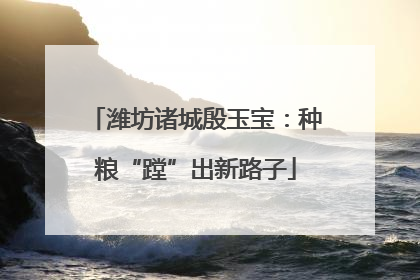 潍坊诸城殷玉宝：种粮“蹚”出新路子