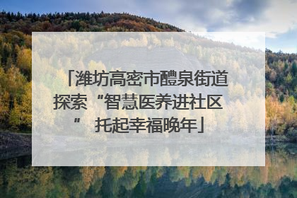潍坊高密市醴泉街道探索“智慧医养进社区” 托起幸福晚年