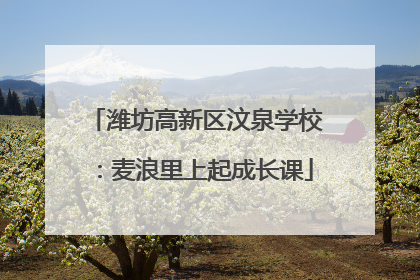 潍坊高新区汶泉学校：麦浪里上起成长课