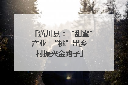 潢川县：“甜蜜”产业  “桃”出乡村振兴金路子