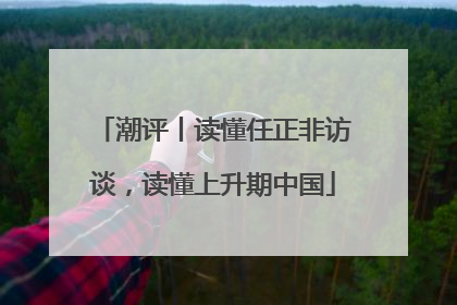 潮评丨读懂任正非访谈，读懂上升期中国