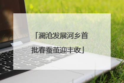 澜沧发展河乡首批春蚕茧迎丰收