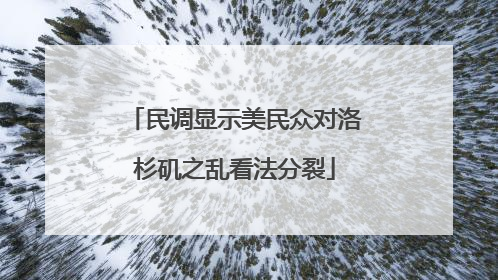 民调显示美民众对洛杉矶之乱看法分裂