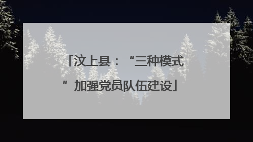 汶上县：“三种模式”加强党员队伍建设