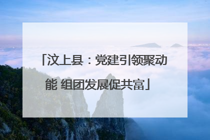 汶上县：党建引领聚动能 组团发展促共富