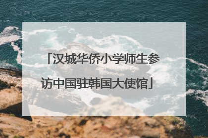汉城华侨小学师生参访中国驻韩国大使馆