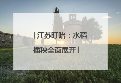 江苏盱眙：水稻插秧全面展开