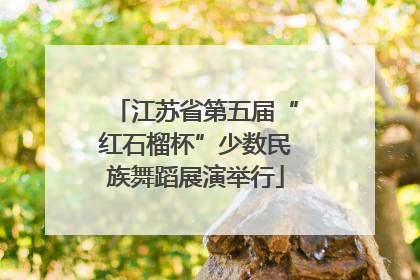江苏省第五届“红石榴杯”少数民族舞蹈展演举行