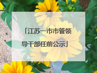 江苏一市市管领导干部任前公示
