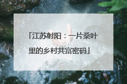 江苏射阳：一片桑叶里的乡村共富密码