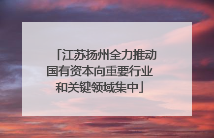 江苏扬州全力推动国有资本向重要行业和关键领域集中