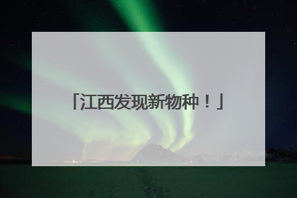 江西发现新物种！