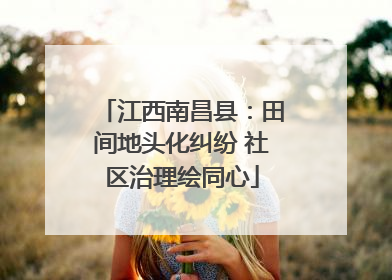 江西南昌县：田间地头化纠纷 社区治理绘同心