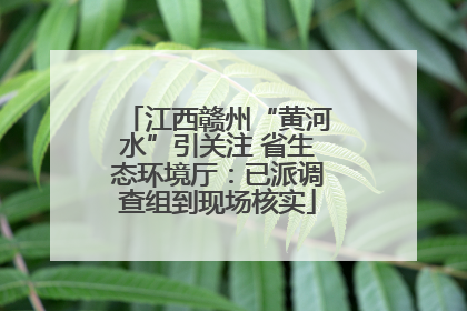 江西赣州“黄河水”引关注 省生态环境厅：已派调查组到现场核实