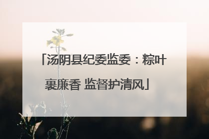 汤阴县纪委监委：粽叶裹廉香 监督护清风