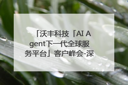 沃丰科技「AI Agent下一代全球服务平台」客户峰会-深圳站圆满落幕！