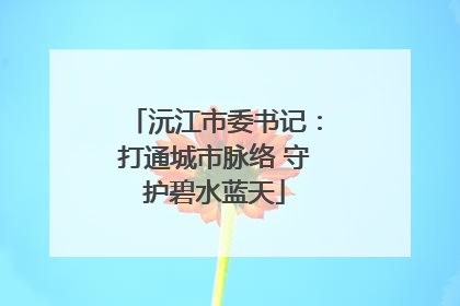 沅江市委书记：打通城市脉络 守护碧水蓝天