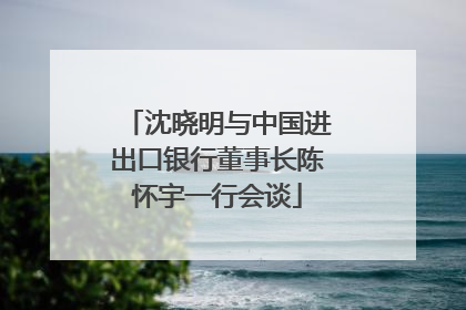 沈晓明与中国进出口银行董事长陈怀宇一行会谈