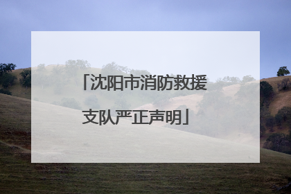 沈阳市消防救援支队严正声明