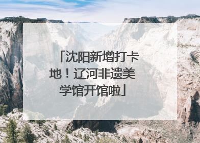 沈阳新增打卡地！辽河非遗美学馆开馆啦