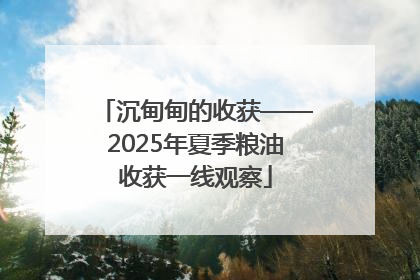 沉甸甸的收获——2025年夏季粮油收获一线观察