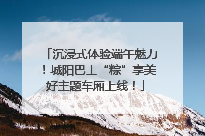 沉浸式体验端午魅力！城阳巴士“粽”享美好主题车厢上线！