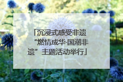 沉浸式感受非遗 “燃情成华·国潮非遗”主题活动举行