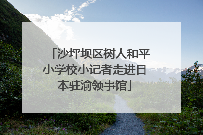 沙坪坝区树人和平小学校小记者走进日本驻渝领事馆