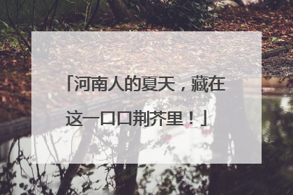 河南人的夏天，藏在这一口口荆芥里！