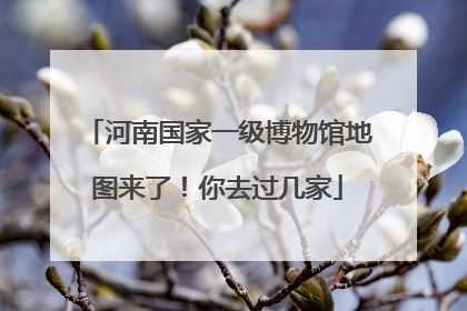 河南国家一级博物馆地图来了！你去过几家