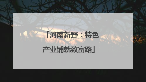 河南新野：特色产业铺就致富路