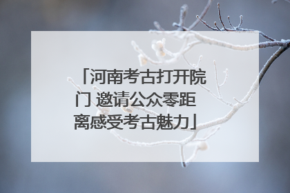 河南考古打开院门 邀请公众零距离感受考古魅力