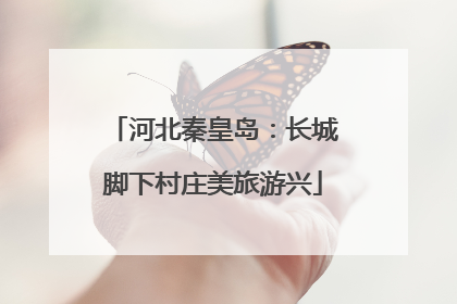 河北秦皇岛：长城脚下村庄美旅游兴
