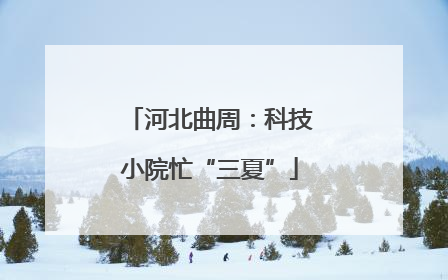 河北曲周：科技小院忙“三夏”