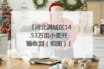 河北满城区14.53万亩小麦开镰收割（组图）
