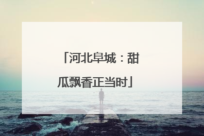 河北阜城：甜瓜飘香正当时