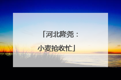 河北隆尧：小麦抢收忙