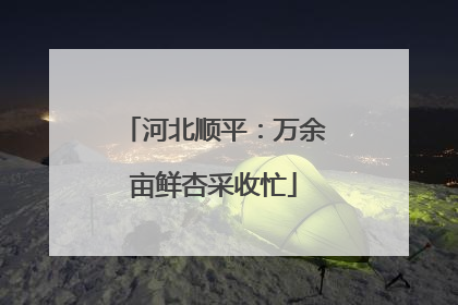 河北顺平：万余亩鲜杏采收忙