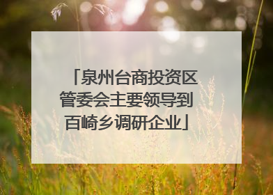 泉州台商投资区管委会主要领导到百崎乡调研企业