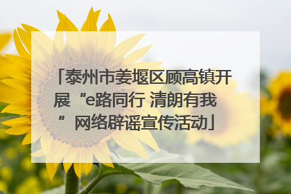 泰州市姜堰区顾高镇开展“e路同行 清朗有我”网络辟谣宣传活动