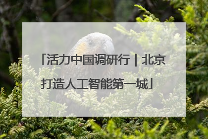 活力中国调研行｜北京打造人工智能第一城