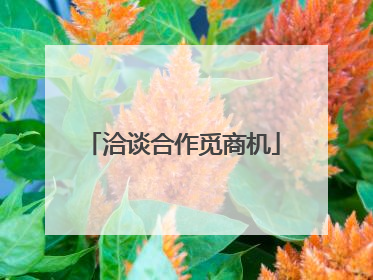 洽谈合作觅商机