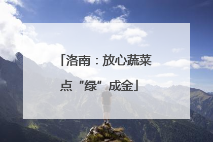 洛南：放心蔬菜点“绿”成金