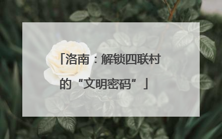 洛南：解锁四联村的“文明密码”