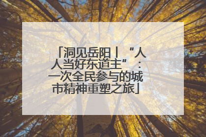 洞见岳阳丨“人人当好东道主”：一次全民参与的城市精神重塑之旅