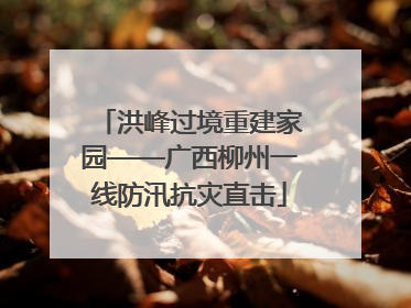 洪峰过境重建家园——广西柳州一线防汛抗灾直击
