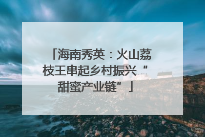海南秀英：火山荔枝王串起乡村振兴“甜蜜产业链”