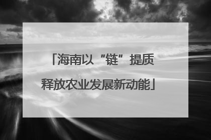 海南以“链”提质 释放农业发展新动能
