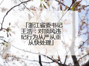 浙江省委书记王浩：对顶风违纪行为从严从重从快处理